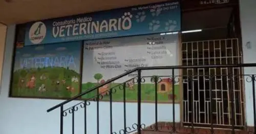 VETERINARIA COMEVET VETERINARIA COMEVET
